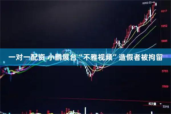 一对一配资 小鹏展台“不雅视频”造假者被拘留
